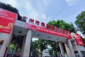 高校信息技术可报哪些学校