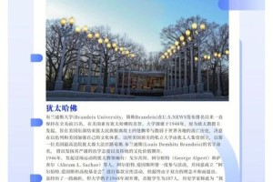 布兰迪斯大学与哪个好