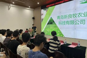 青岛理工大学焦红良哪里人