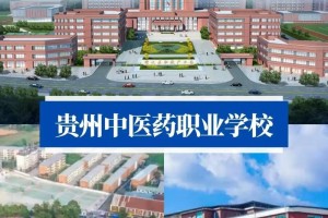 贵阳中医药怎么样大学