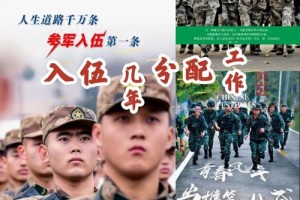 大学生当兵时怎么分配的