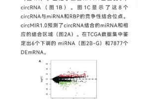 哪些非编码基因研究过的