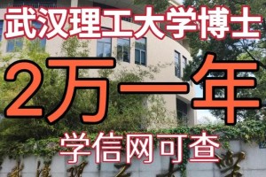 武汉理工大学多少人