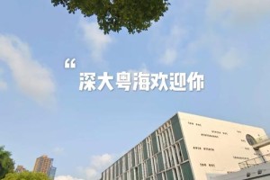 深圳大学432怎么样