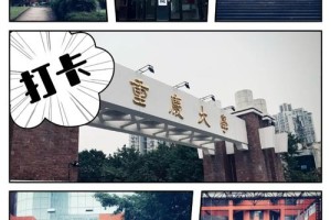 重庆大学 哪个院系