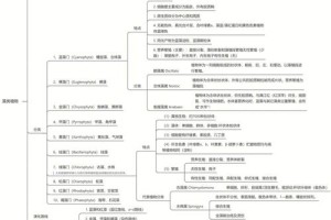 植物学的研究方向有哪些