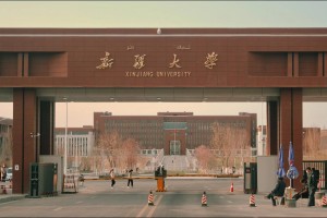 新疆有多少个大学