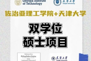 哪个学校有硕士双学位