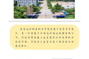 青岛哪个大学单招