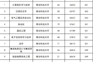 青岛科技大学怎么查排名