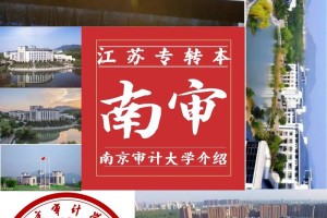 审计学哪个学校