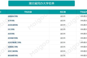 湖北有哪些民办学校