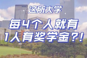 深大优秀新生奖学金多少