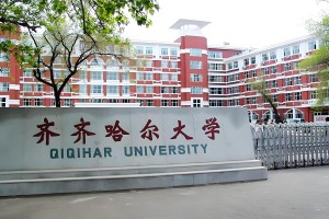 齐齐哈尔有多少个大学