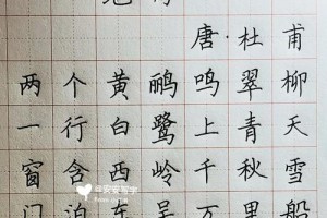 白丝行杜甫多少字