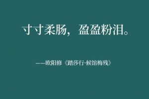 陷入多少的柔肠泪两行