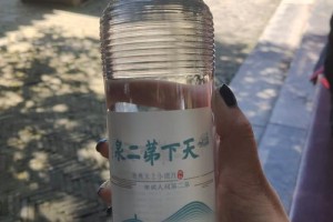 小龙团多少钱