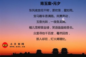 青玉案元夕共多少字