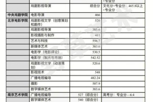 重大编导文化分要多少