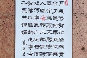 苏东坡水调歌头全文多少字