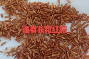 红稻17是多少片叶的