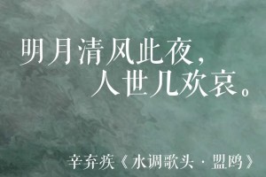 水调歌头带湖吾甚爱多少字