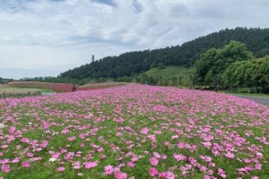 余杭花千里门票多少