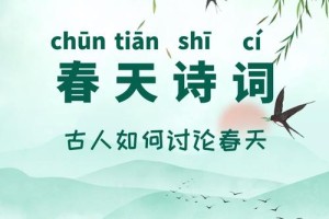 子夜歌有多少字