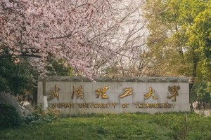 武汉理工大学哪个学院强