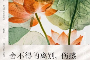 多少悲伤和别离