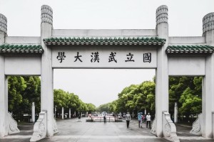 山东大学陈子江哪个医院