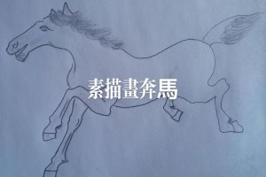 画马一般画多少匹