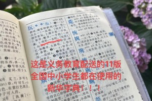 馁字典多少页