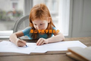 泰山学院学费多少