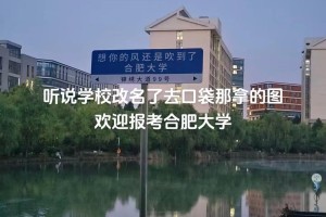 合肥有多少大学