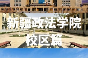 新疆哪个大学法律系好