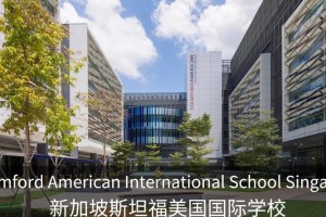 斯坦福国际政策哪个学院