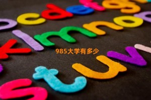 985大学有多少