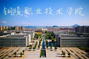 铜陵职业技术学院在哪个省