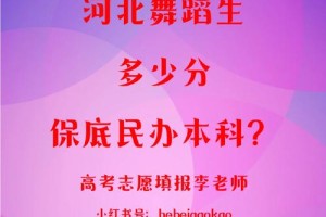 河北舞蹈大学学费多少