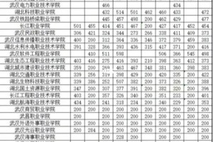 武汉职业学校哪个专业好