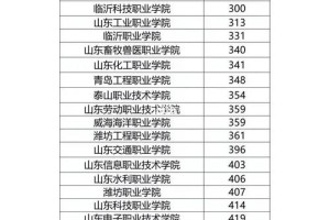 信息技术专业费用多少