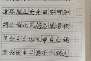 30行诗多少字