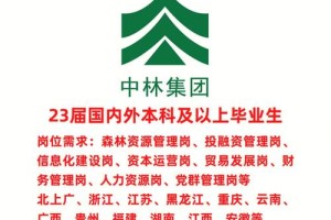 铁汉林校招工资多少