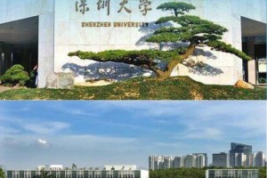 深圳大学生物专业是哪个院