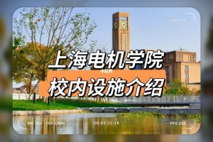 电机学院总共多少学生