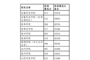 安徽文科536上哪个大学