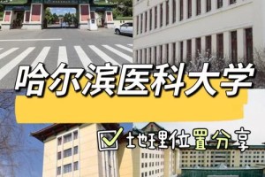 医科大学哪个区