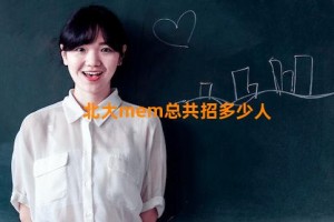 北大mem总共招多少人