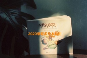 2020录取多少本科生